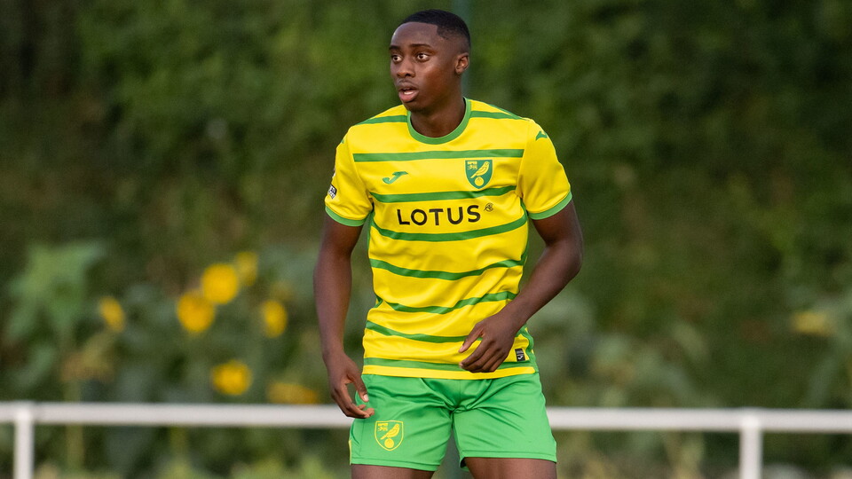 Norwich City academy defender Emmanuel Adegboyega has joined Sky Bet League Two side Walsall on loan for the remainder of the season.