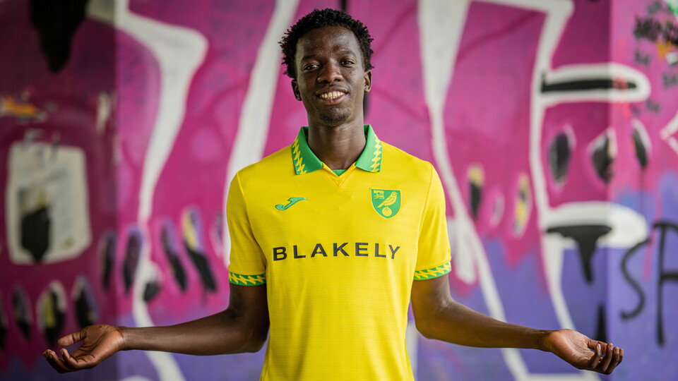 Norwich City have completed the signing of Senegalese winger Papa Amadou Diallo for an undisclosed fee from Ligue 2 side Metz.