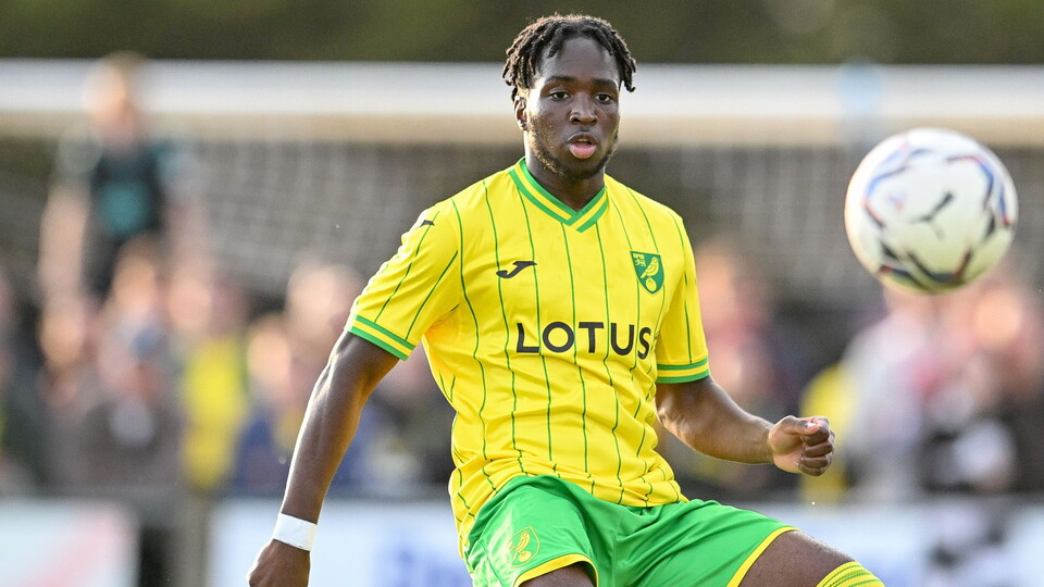 Norwich City's Under-23s lost 6-0 to MK Dons' senior team at Lotus Training Centre on Friday afternoon.