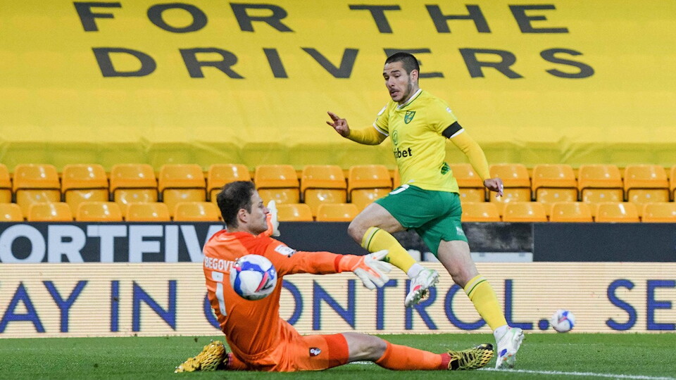 Norwich City were unable to put the gloss on their promotion to the Premier League as a second half comeback from AFC Bournemouth saw them fall to their first defeat in 19 home games.