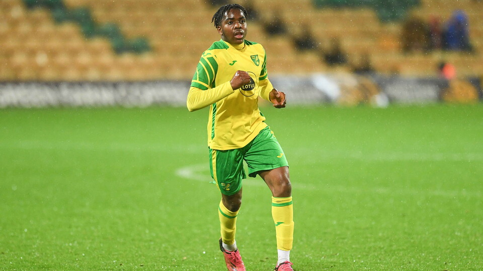 Norwich City Under-18s were beaten 3-0 at home to Leicester City in the U18 Premier League South on Friday afternoon.