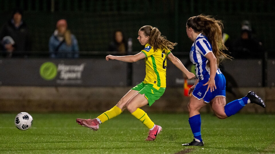 Norwich City's academy and women's teams will play their respective Norfolk FA cup finals at Carrow Road on Sunday, May 4.
