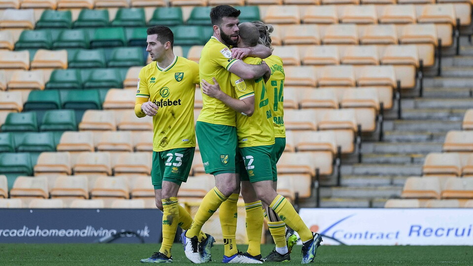 A first-half Teemu Pukki strike saw Norwich City grind out a 1-0 victory over Rotherham United on Saturday.