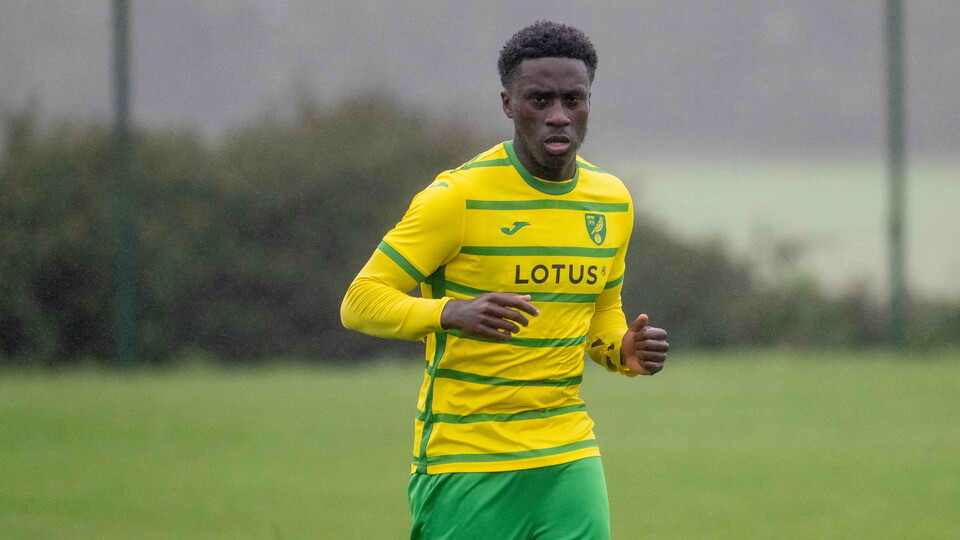Norwich City Under-18s travel to the capital as they face their Fulham counterparts in the Under-18 Premier League South.