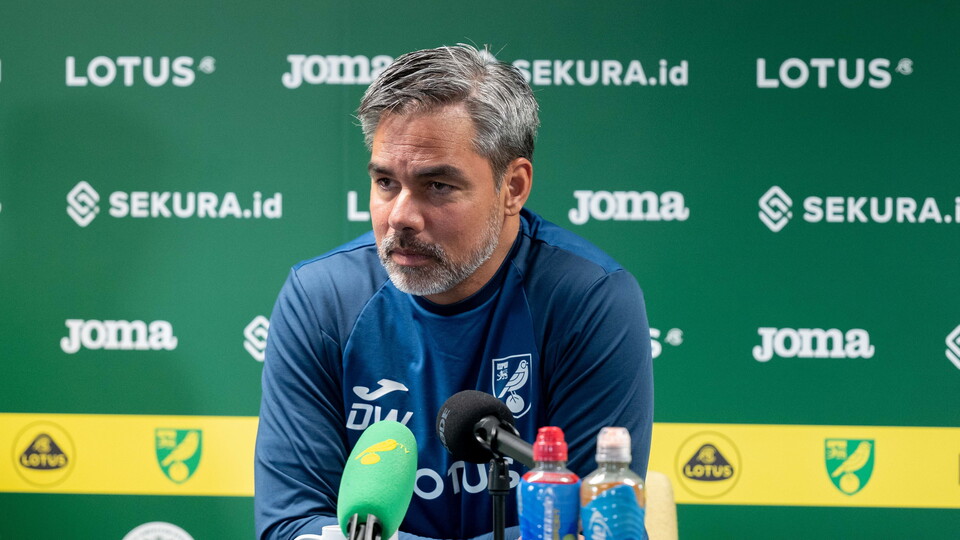 Norwich City head coach David Wagner confirmed there are no new injury concerns ahead of Wednesday's Sky Bet Championship fixture against Sheffield Wednesday.