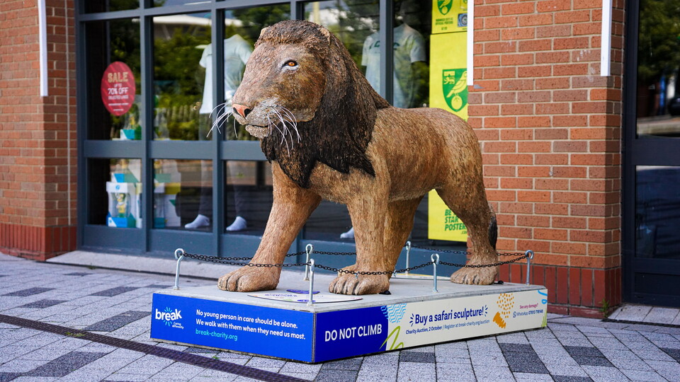Local charity Break kick-off their GoGoSafari trail today across Norwich and Norfolk for the summer.