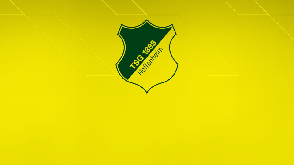 Norwich City will face TSG 1899 Hoffenheim in a pre-season friendly during the squad's training camp in Austria.