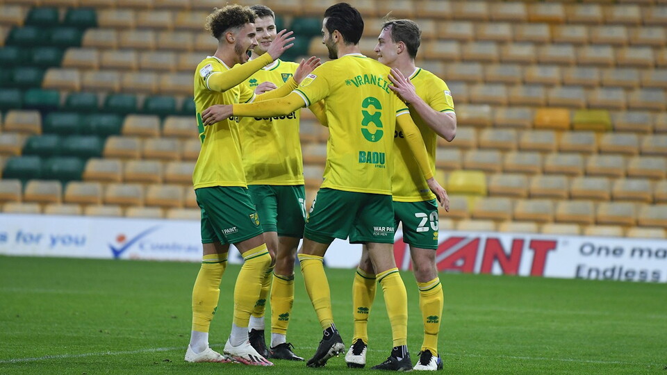 A late equaliser denied an injury-depleted Norwich City all three points at home to Coventry City on Saturday afternoon.