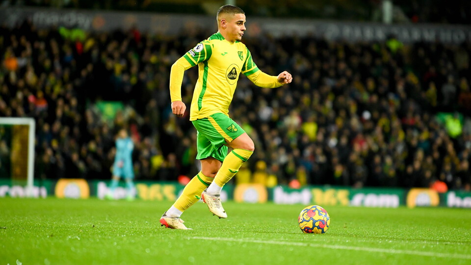 Following Saturday's 0-0 draw at home to Wolverhampton Wanderers, members of the Norwich City team took to social media to post their reflections.