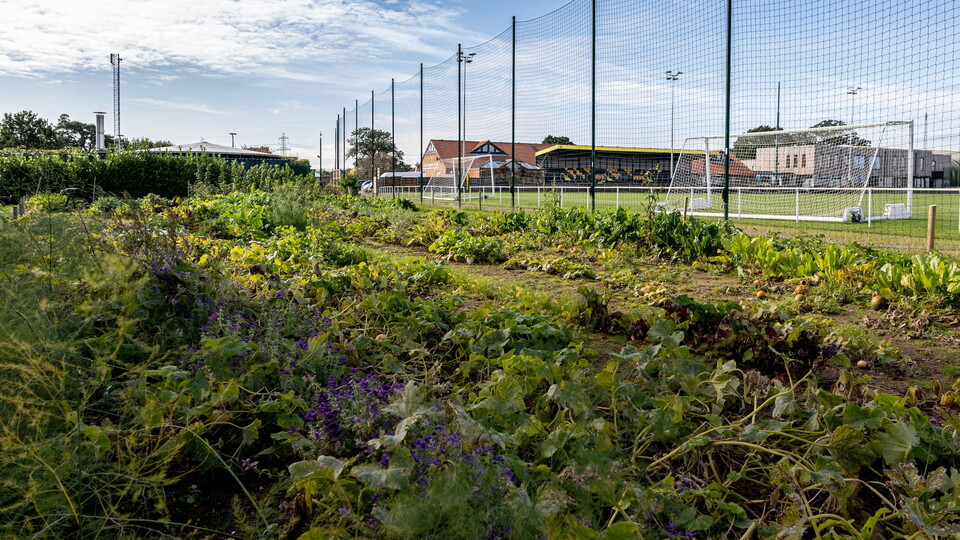 Norwich City's 'Greener Together' sustainability efforts were recently recognised at the British Association for Sustainable Sport (BASIS) Sustainable Sport Awards 2021.