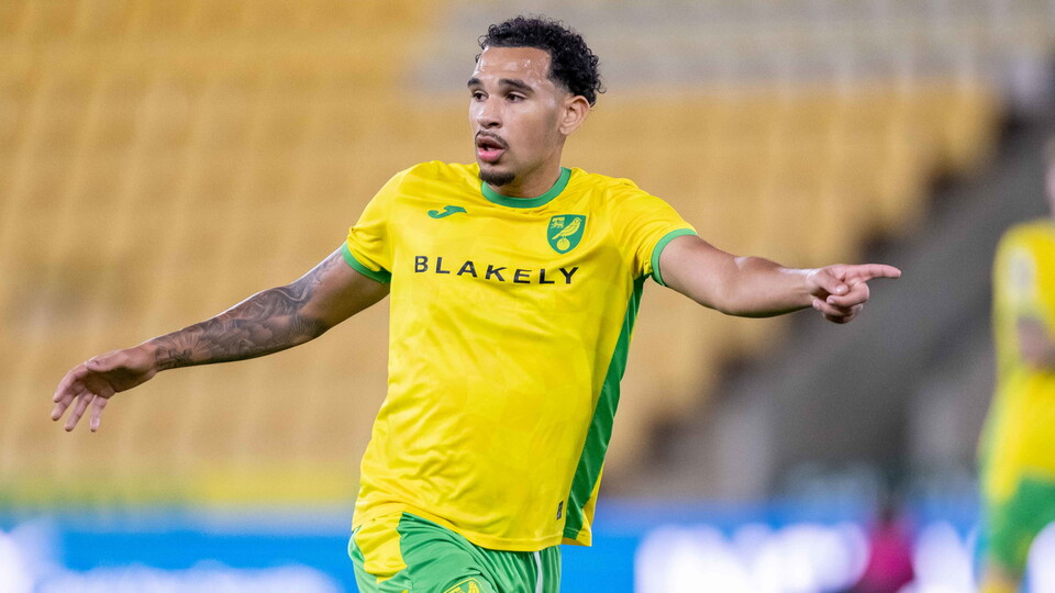 Norwich City fell to a 2-0 defeat against FC Nordsjælland in the Premier League International Cup at Carrow Road.