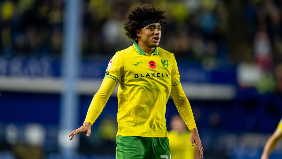 Norwich City welcome Leicester City to Carrow Road on Saturday, November 8 (KO 3pm), in the Sky Bet Championship.