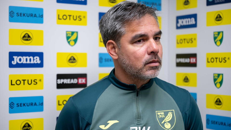 Norwich City head coach David Wagner said he was pleased with his side's performance as they "worked their socks off" in the 1-0 win over QPR.