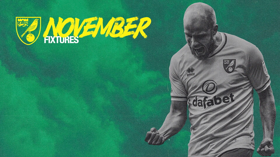 The games are coming thick and fast for all teams at Norwich City, with November no different.