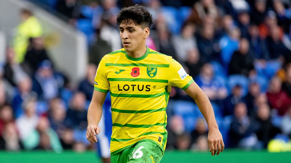 Norwich City return to action this Saturday with a home Sky Bet Championship fixture against QPR (KO 3pm).
