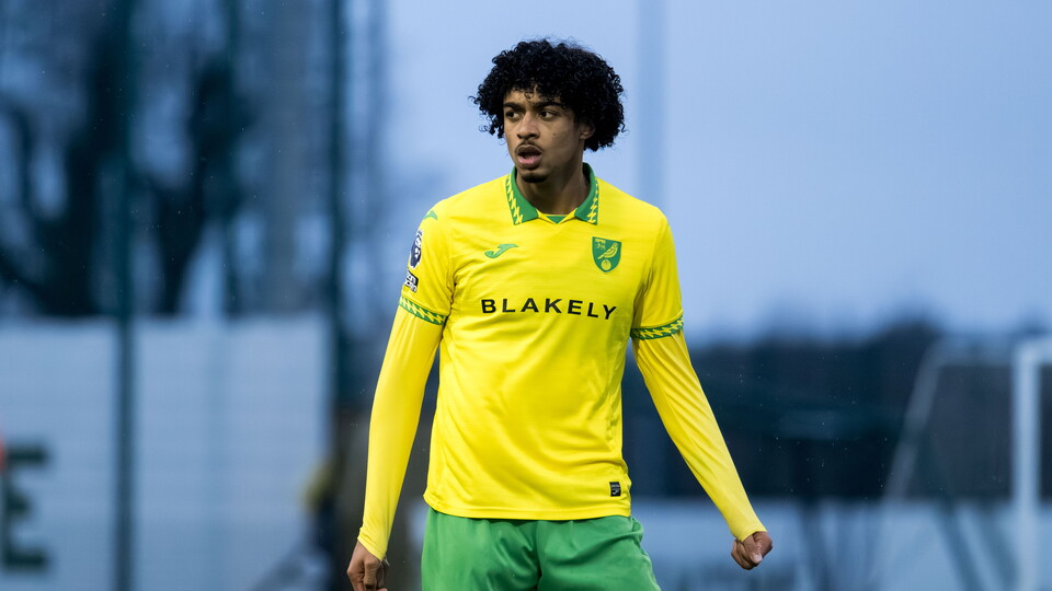 Norwich City Under-21s fell to defeat in Premier League 2 on Friday night, losing 3-0 at home to Wolves.