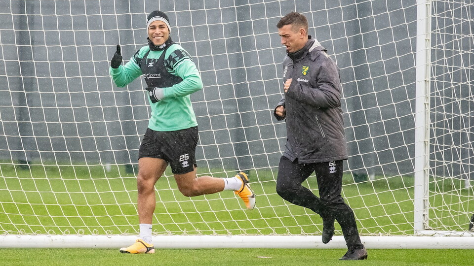 Daniel Farke's Norwich City side have continued their preparations for their latest Sky Bet Championship clash against Watford on Boxing Day.