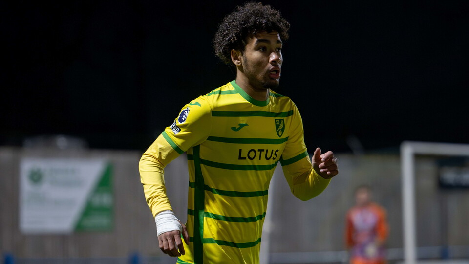 Norwich City academy player Elliot Myles has been named in the Wales squad for the upcoming UEFA European Under-17 Championship.