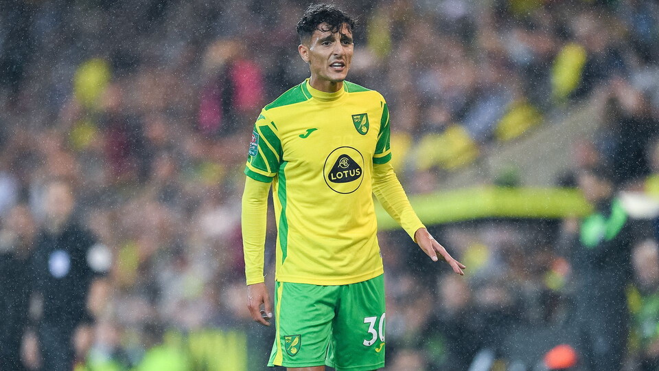 Dimitris Giannoulis and Christoph Zimmermann will miss Norwich City's trip to Arsenal on Saturday with injury.