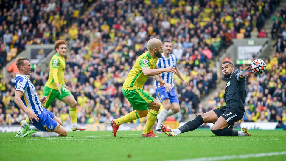 Norwich City were held to a 0-0 draw at Brighton & Hove Albion but they put in a positive display against the in-form visitors and should have got all three points.