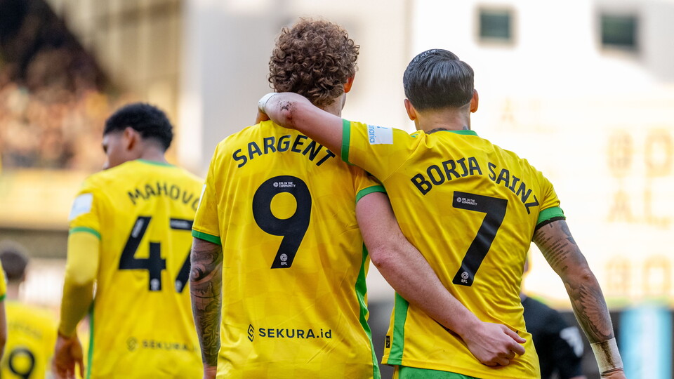 Norwich City duo Josh Sargent and Borja Sainz have been named in the 2024/25 Sky Bet Championship Team of the Season.