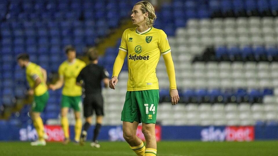 Daniel Farke expects Todd Cantwell to be fit for Norwich City's Sky Bet Championship clash against Luton Town on Saturday.
