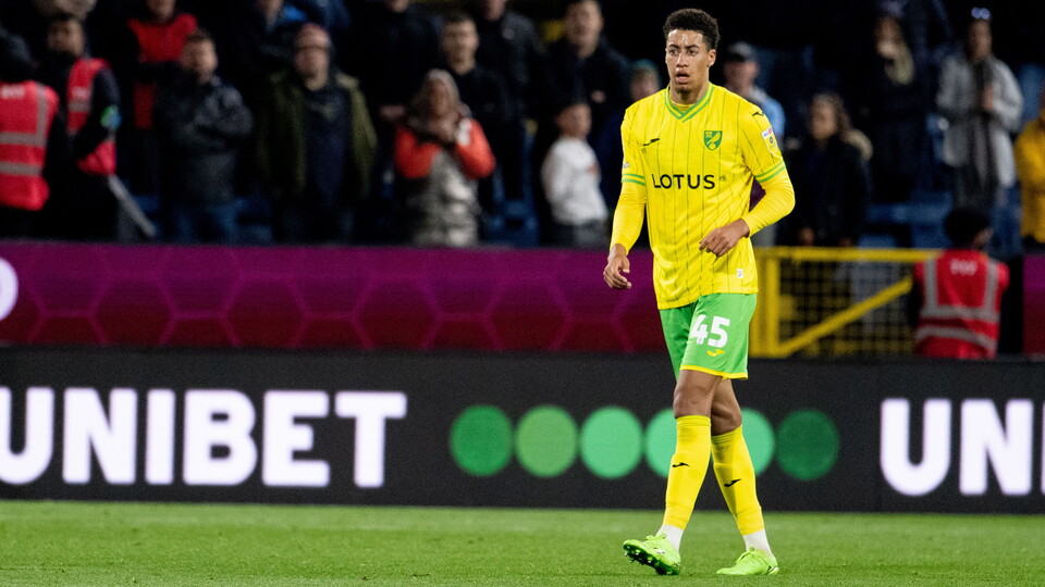 Norwich City defender Jonathan Tomkinson has joined Sky Bet League Two side Stevenage on loan for the rest of the season.