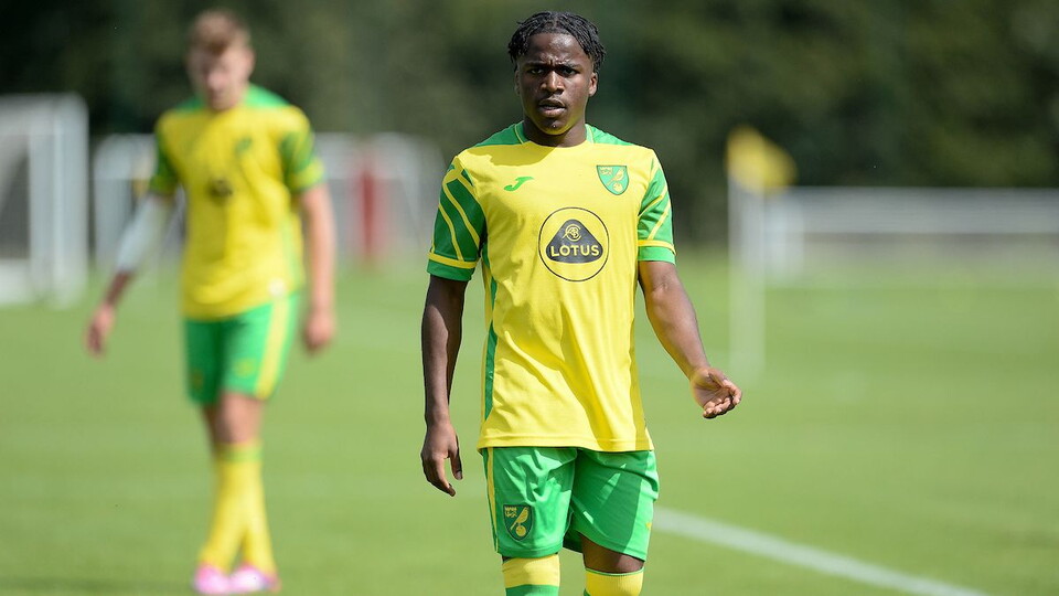 Norwich City's Under-18s were beaten 2-1 away to Tottenham Hotspur Under-18s in the U18 Premier League South on Friday afternoon.