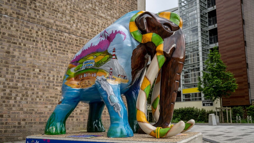 Last week Break’s GoGo Discover Trail kicked off across Norwich and Norfolk for the summer.