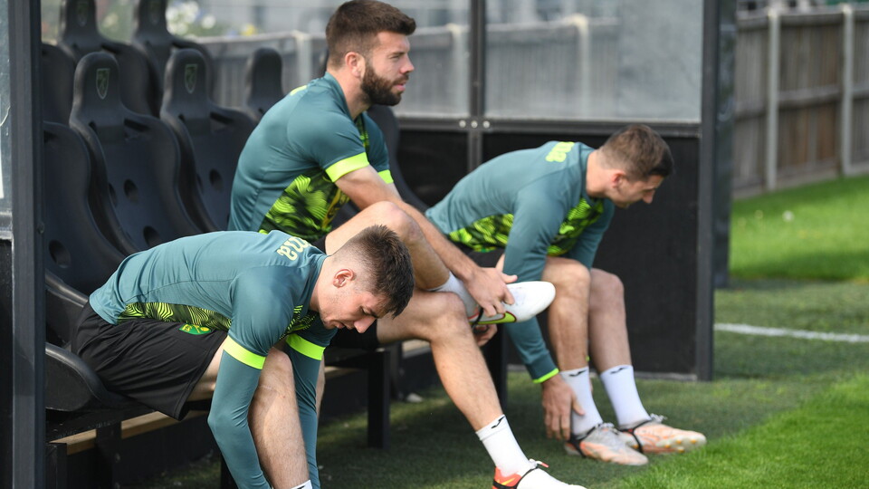 Norwich City trio Grant Hanley, Billy Gilmour and Kenny McLean have been called up to the Scotland national team for their upcoming World Cup qualifiers.