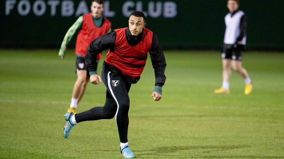 The Norwich City squad have been put through their paces this week ahead of the Sky Bet Championship trip to face Preston North End.

View the gallery here: