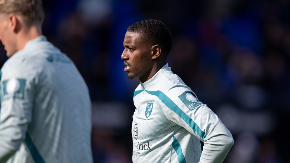 With the international break now over, head coach Liam Manning has provided some squad updates as Norwich City prepare to welcome Bristol City to Carrow Road.