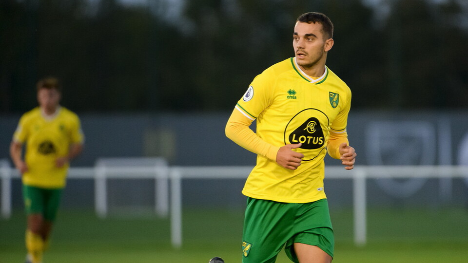Norwich City forward Danel Sinani has completed a season-long loan move to Huddersfield Town.
