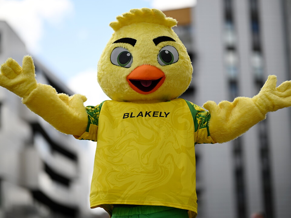 Captain Canary